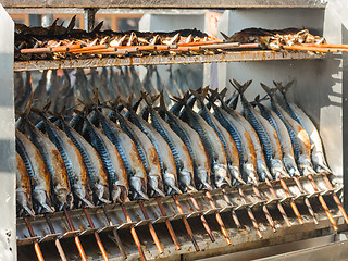 Image showing Cooking grilled mackerel on skewers