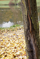 Image showing autumn scenery