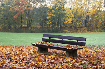 Image showing wooden bench