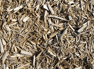 Image showing Sawdust background