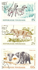 Image showing Cheetah, zebras, elephants post stamps