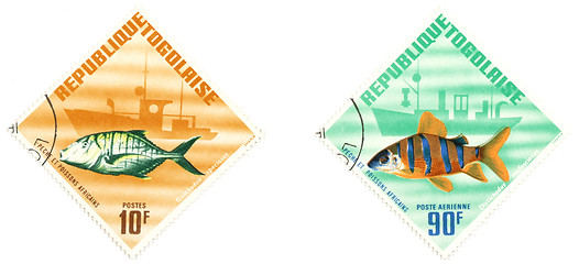 Image showing Exotic fish on post stamps