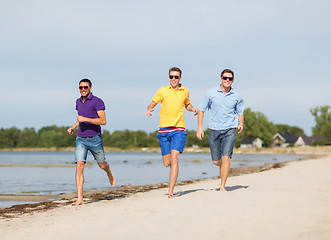 Image showing group of friends having fun on the beach