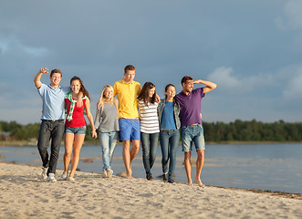 Image showing group of friends having fun on the beach