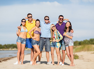 Image showing group of friends having fun on the beach