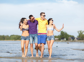 Image showing group of friends having fun on the beach