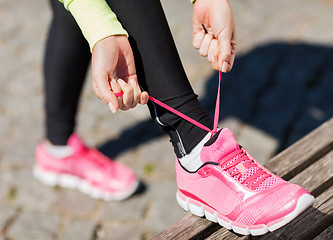 Image showing runner woman lacing trainers shoes