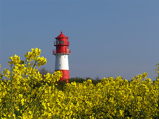 Image showing lighthouse behind rape