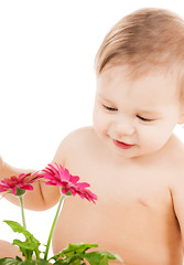 Image showing cute little boy playing with flower