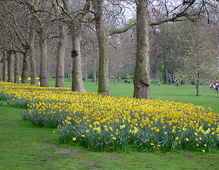 Image showing Hyde Park, London