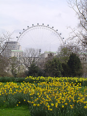 Image showing Hyde Park and the London Eye