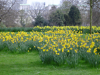 Image showing Hyde Park, London