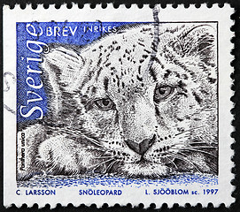 Image showing Snow Leopard Stamp