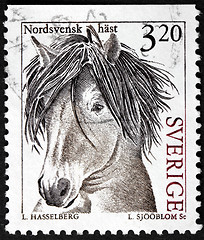 Image showing Swedish Horse Stamp