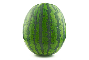 Image showing Large watermelon