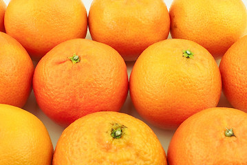 Image showing Lots of mandarins