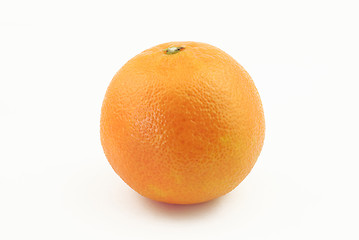 Image showing One mandarin