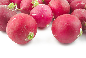 Image showing Radish closeup