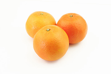 Image showing Three mandarins
