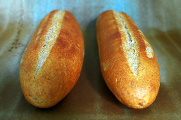 Image showing two freshly baked loaf 