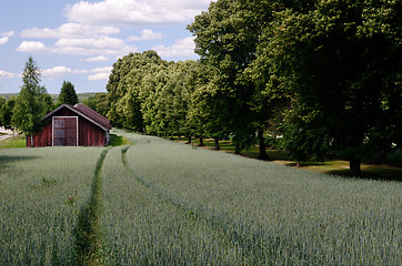 Image showing old barn is standing in the field