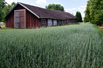 Image showing old barn in the field, Finland 