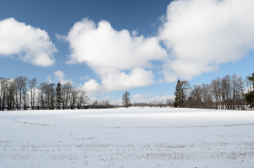 Image showing winter landscape, a field covered with snow