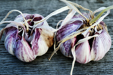 Image showing two heads of garlic 