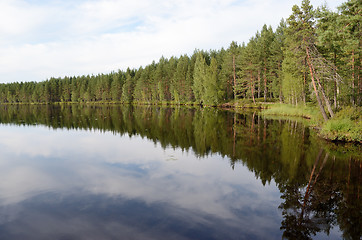 Image showing landscape of the forest lake in summer