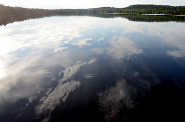 Image showing landscape of the forest lake in summer