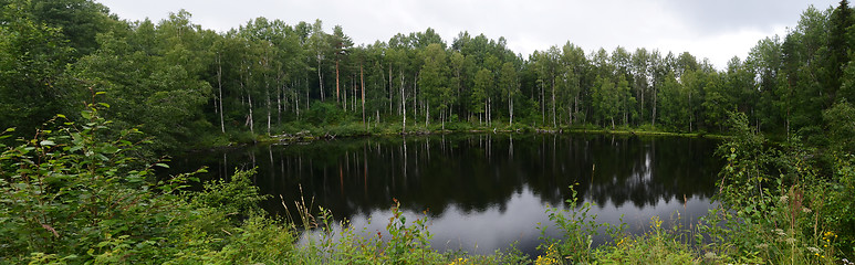 Image showing landscape of the forest lake in summer