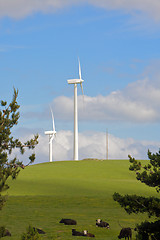 Image showing Wind Turbines Generating Electricity