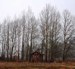 Image showing Old store house among trees