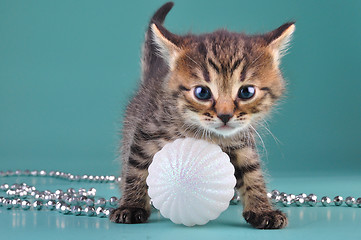 Image showing small  kitten among Christmas stuff