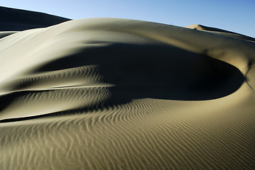 Image showing Great Sand Sea