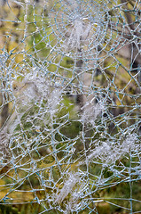 Image showing Broken glass