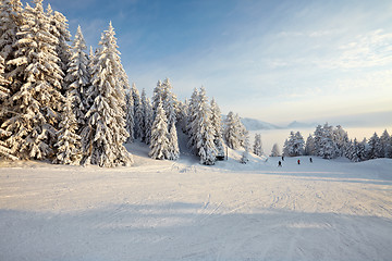 Image showing Winter Landscape