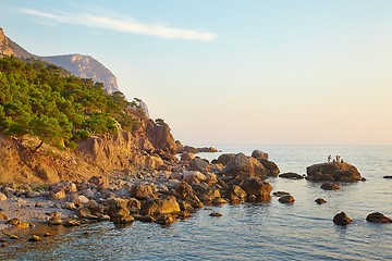 Image showing Coastal Landscape