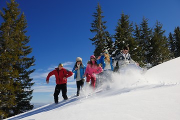 Image showing friends have fun at winter on fresh snow