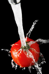 Image showing Tomato and Water