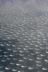 Image showing Water drops