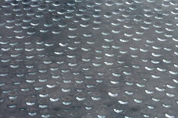 Image showing Water drops