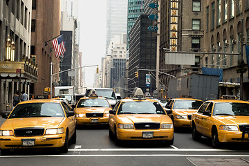 Image showing Taxi row