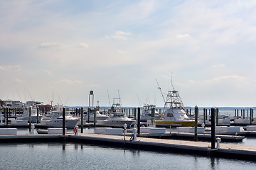 Image showing Marina