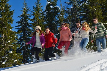 Image showing friends have fun at winter on fresh snow