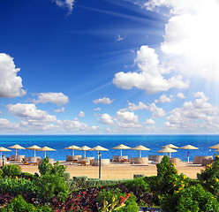 Image showing tropical beach and Red Sea