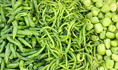 Image showing different varieties of green peppers