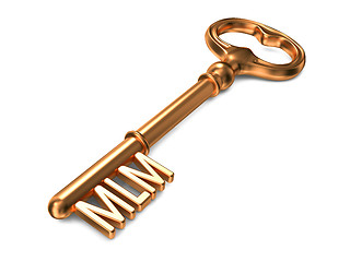 Image showing MLM - Golden Key. Business Concept.