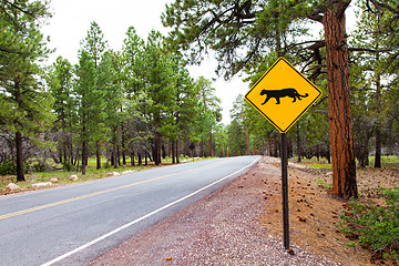 Image showing Grand Canyon Road