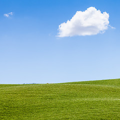 Image showing Green field in Tuscany